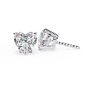 11 (41).webp