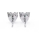 11 (39).webp