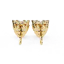 11 (40).webp