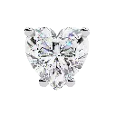 11 (24).webp