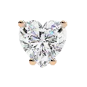 11 (23).webp