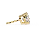 11 (34).webp