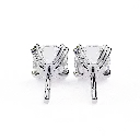 15 (36).webp