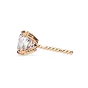 15 (26).webp