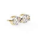 17 (40).webp