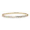 CAD-010 (4).webp