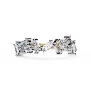 249 (4).webp
