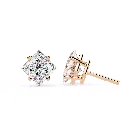 1 (38).webp