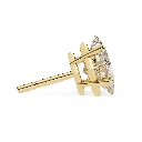 1 (30).webp