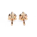 2 (22).webp