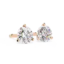 2 (17).webp