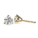 2 (25).webp
